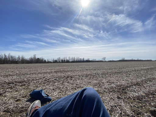 Parc Normand-Arcand - Thumbnail