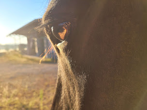 Photo n°21 de LE 9 ÉQUIN à Gueugnon (Service de médiation)