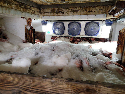 Dantrawl, Inc. Gallery - United States