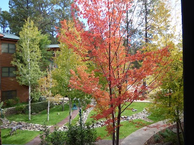 Ruidoso River Resort