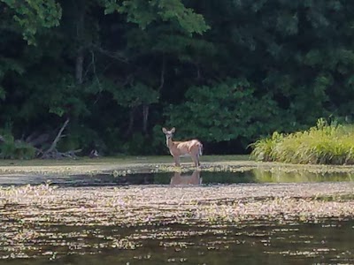 Siloam Springs State Park