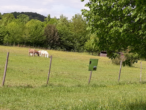 AREA CAMPER BERGERAC - Thumbnail