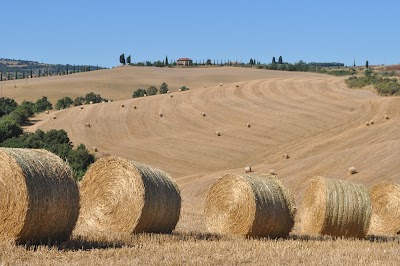 Valdorcia Terre Senesi esposizione