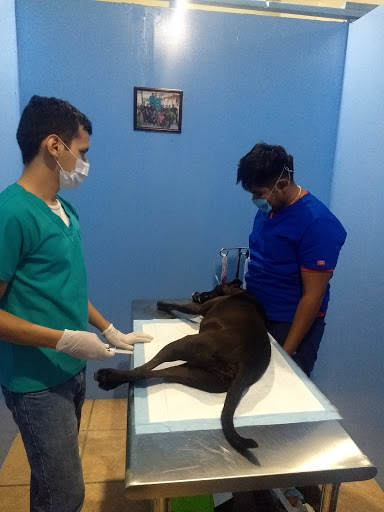 Fierito's Vet Clinic
