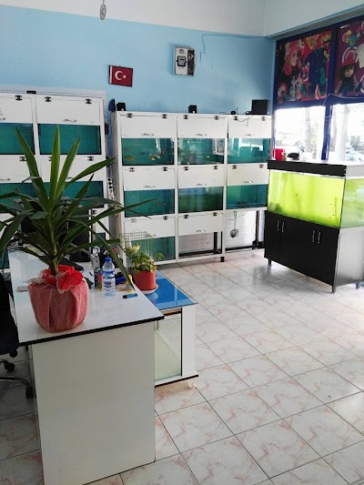 Cesur Petshop 7/24 HİZMET Osmancık/ÇORUM