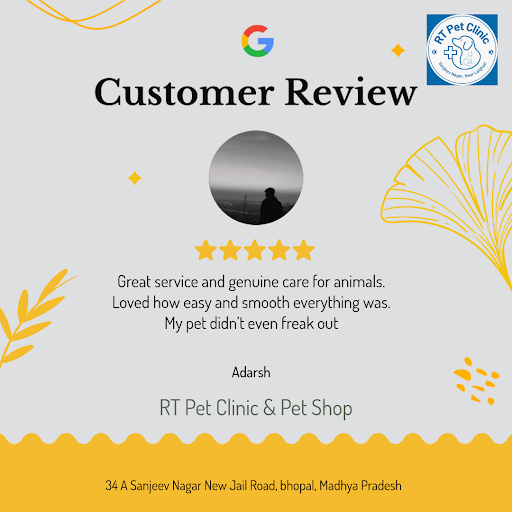 Adarsh from Bhopal gives a glowing review of RT Pet Clinic & Pet Shop, praising our exceptional v… post image