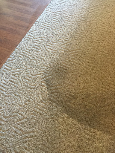 Actually Clean - Visual