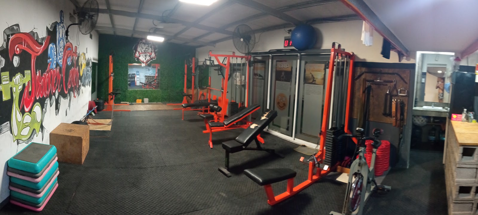 Trainer Center All Stars