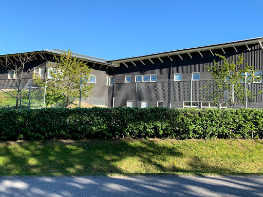 Snäckebergsskolan Gallery - Sweden