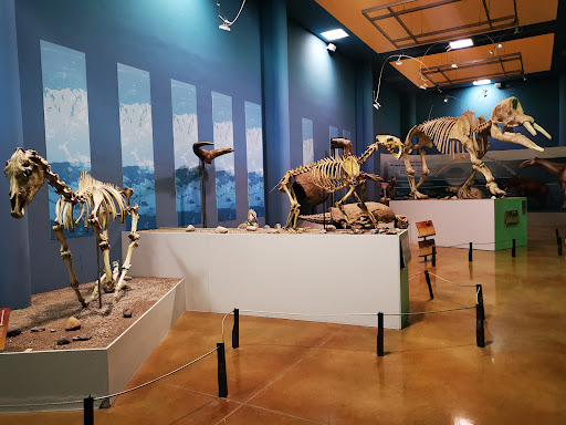 Museo del Desierto Chihuahuense (MUDECH) - Thumbnail