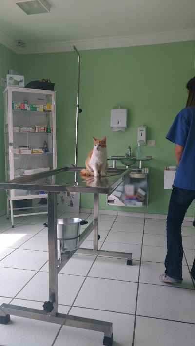 veterinary-care