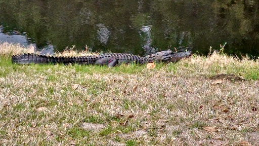 Golden Bear Golf Club at Indigo Run - Thumbnail