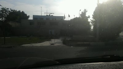 Photos of Vehicle License Department El Nozha