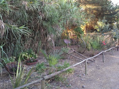 Photos of Rincon De Sofia