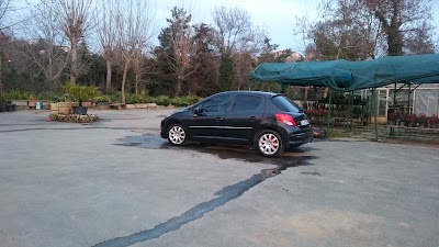 Photos of Kasımoğlu Fidanlık Tesisleri