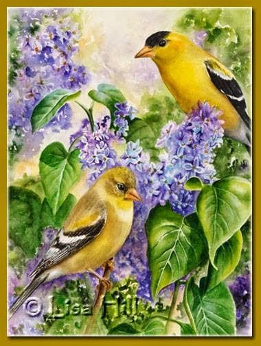 Lisa Hill Watercolorist