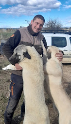 Photo n°4 de Ferme des Grands Gherissi à Parignargues (Éleveur)