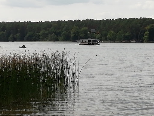 Pelzkuhl - Thumbnail