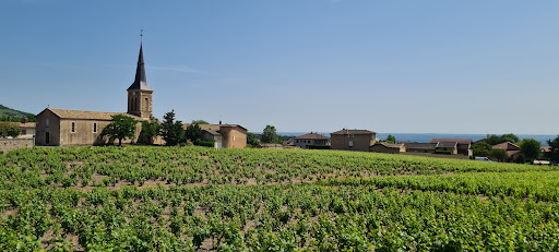 Obione
