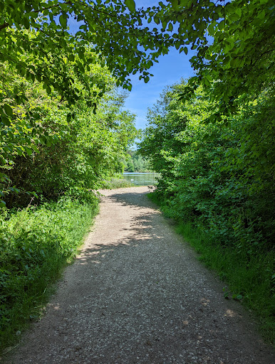 Fröschauweiher - Visual