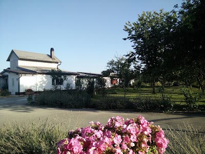 Photos of Holiday Home Jankovic