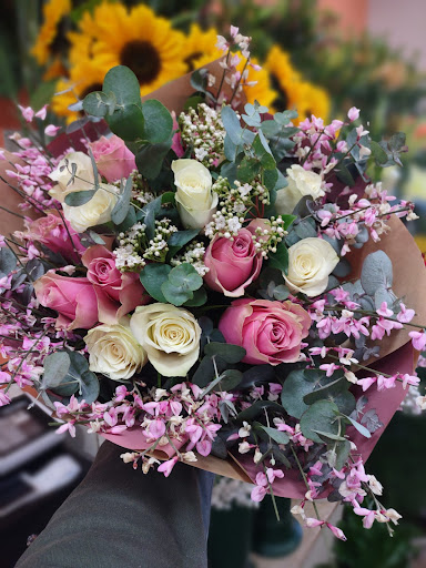 Idea Fiore - Visual