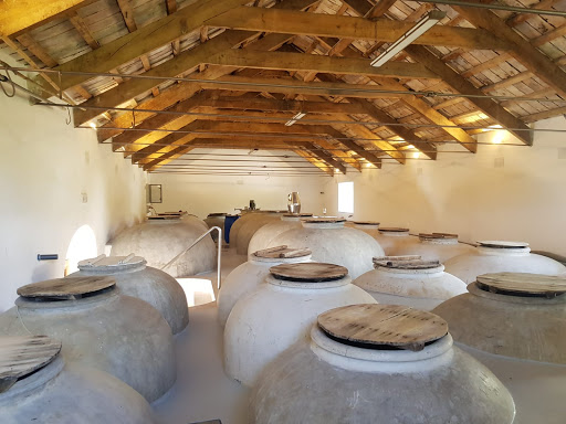 Vino en Rama, Moriles y Montilla