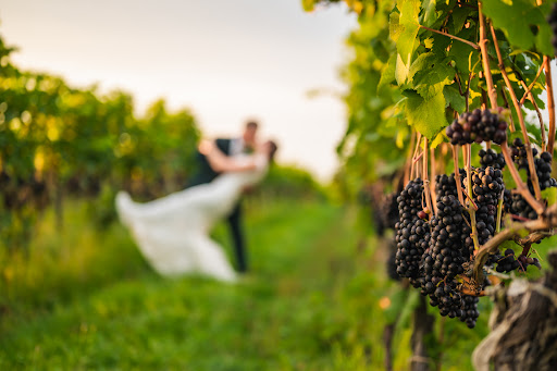 Casa Larga Vineyards - Thumbnail