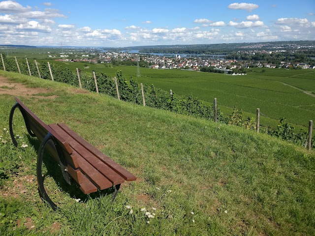 Johannisberg Castle