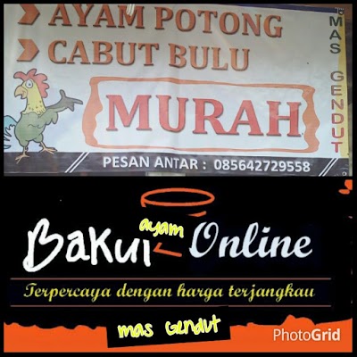 grocery-or-supermarket