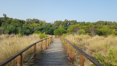 Photos of La Palma