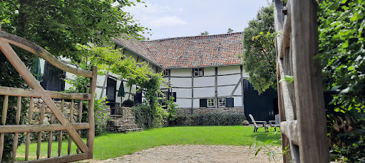 Lingberg - Visual