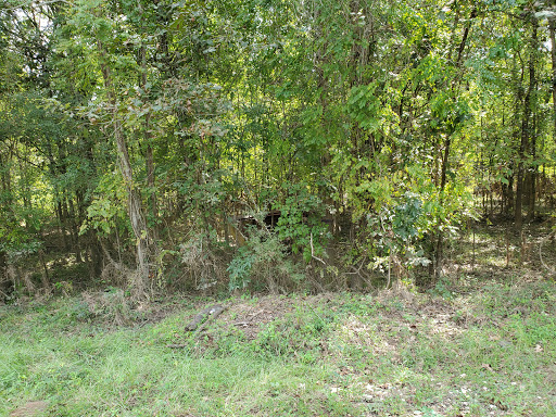 Brierwood Unit Parking Lot, Trinity River National Wildlife Refuge - Thumbnail