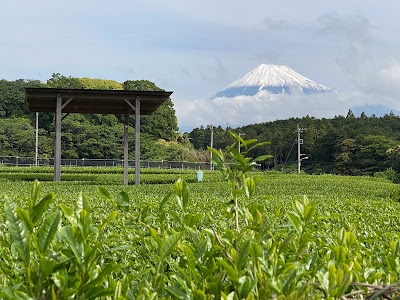 富士山まる茂茶園