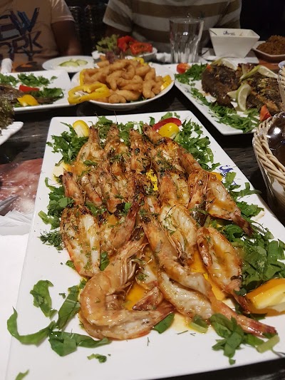 Photos of Mermaid