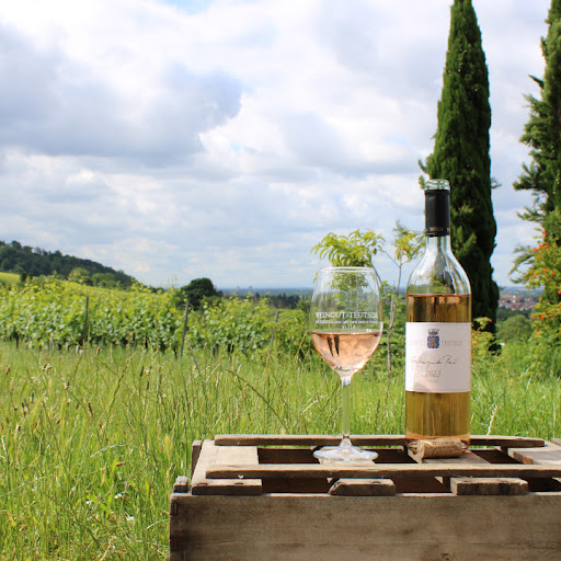 weinblick - Visual