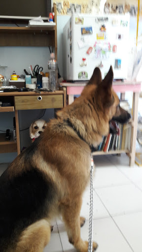 Veterinaria Sanchez Briones