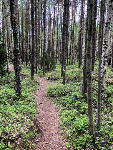 Södra Törnskogen