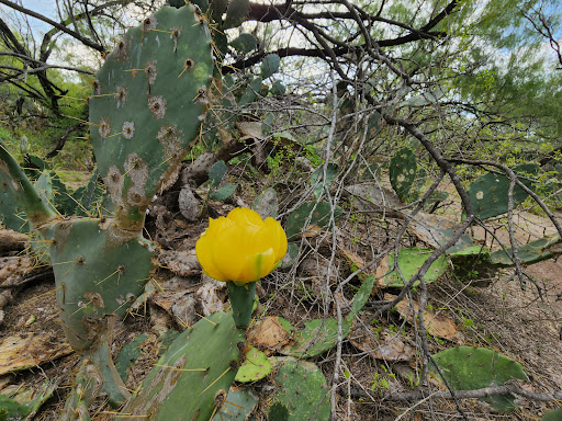 City Of Mission Hike and Bike Trail Park Entrance - Thumbnail