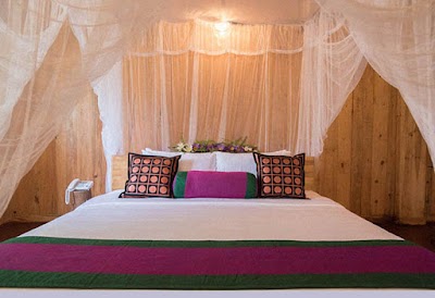 Photos of Purple Coot Ayurveda Retreat