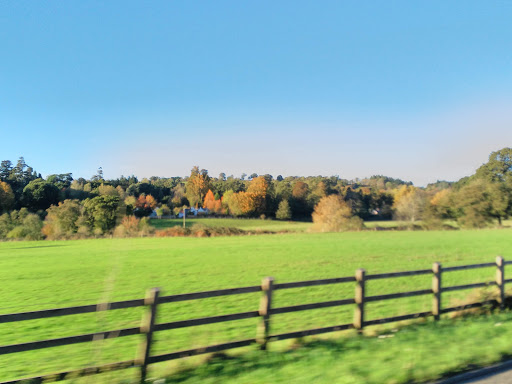 Finlake Holiday Park