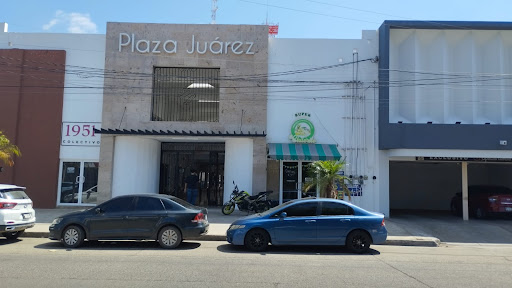 LIC. EDUARDO PALAFOX ESPINOZA JURIDICO PALAFOX & ASOCIADOS