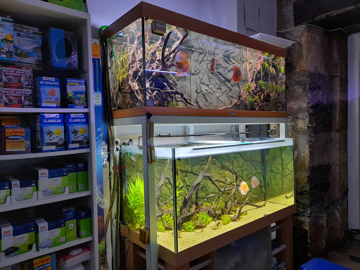 BizkaiTropik - Tienda de peces y acuarios - Thumbnail