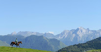 Les Chevaux du Benou à bilhères en Ossau