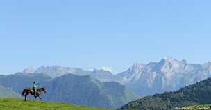 Photo n°1 de Les Chevaux du Benou à bilhères en Ossau (Centre de randonnée équestre)