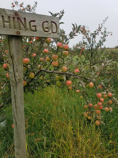 Door Creek Orchard Gallery - United States