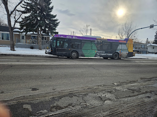 Regina Transit System - Visual