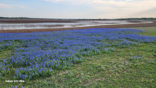 Lake Somerville Trailway (Nails Creek Trailhead) - Thumbnail