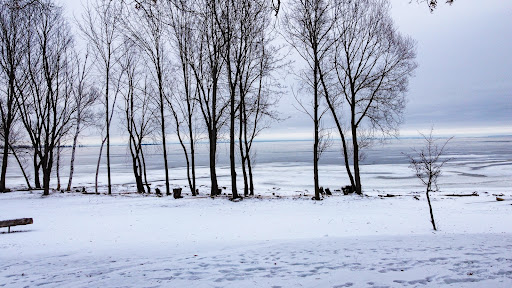 Runnoe Park - Thumbnail