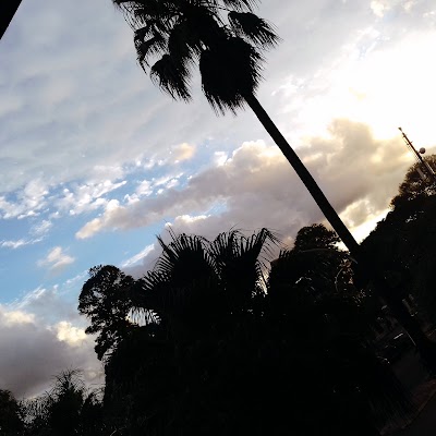 Photos of ALBERT PARK
